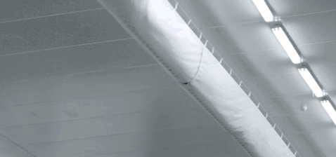 每日萊水餃生產