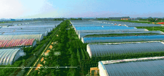 每日萊水餃生產